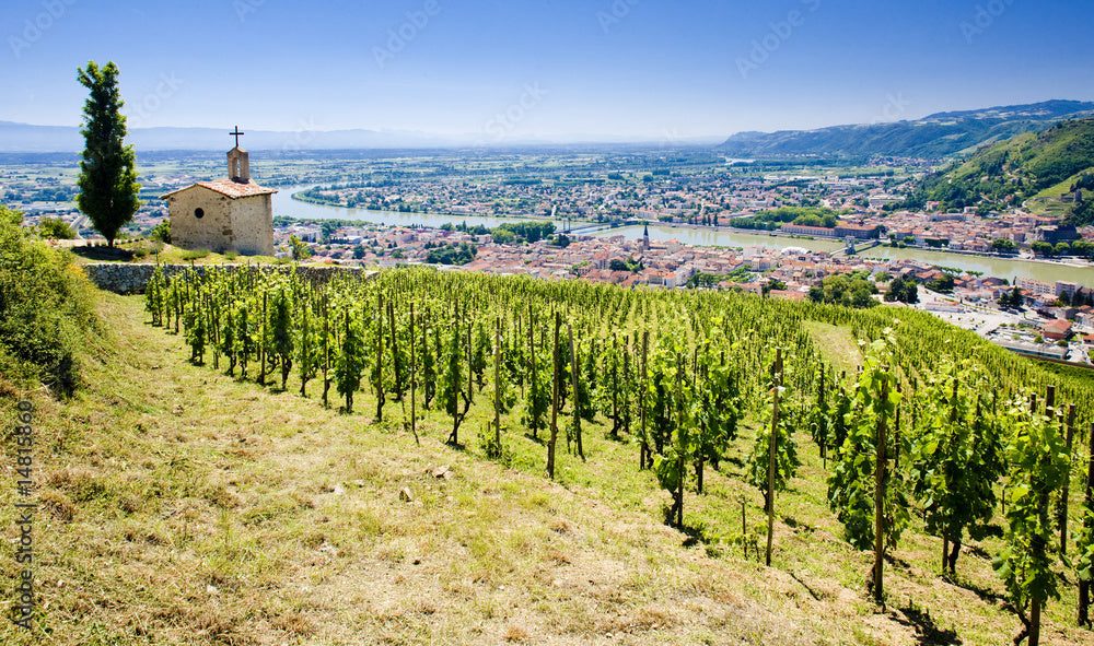 Rhône Valley