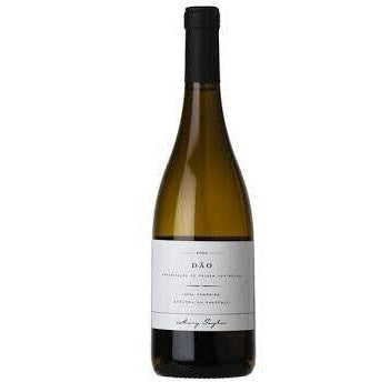 Mary Taylor - Lucia Ferreira Dao Branco 2023