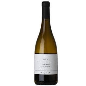 Mary Taylor - Lucia Ferreira Dao Branco 2023